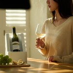 Electric Wine Chiller – Fast Cooling Desktop Beverage Cooler for Red, White, and Sparkling Wine